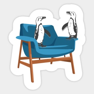 African Penguins Meet up on a Vintage Chair Sticker